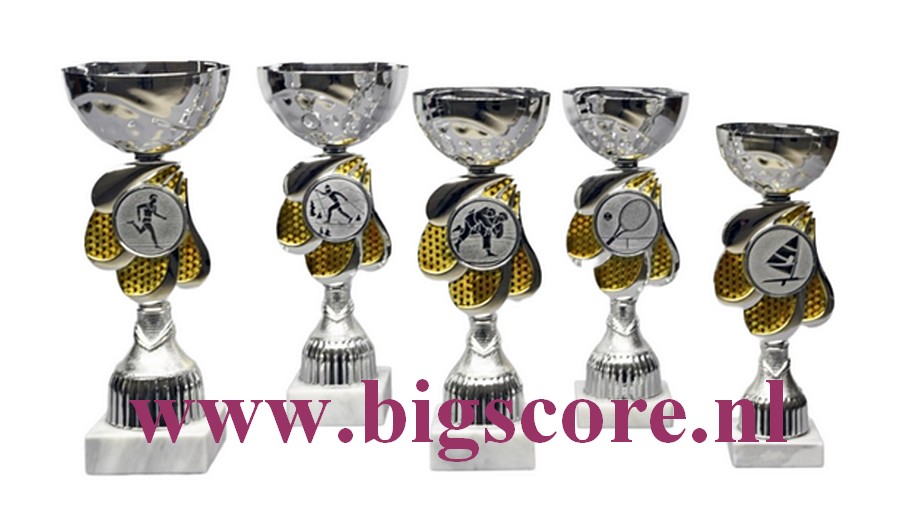 Z 640 Beker Goud-Zilver 5 Delig